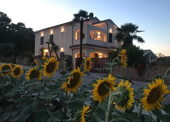 B&B Isa